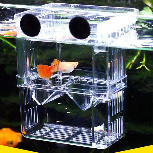 Aquarium Fry Box